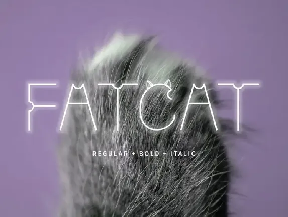 Fatcat font