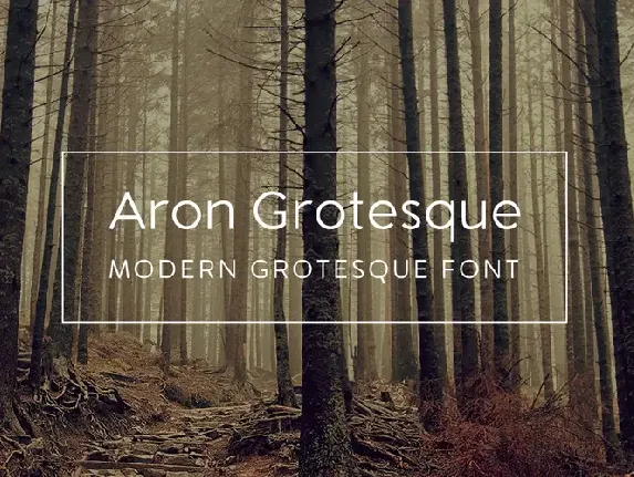 Aron Grotesque font