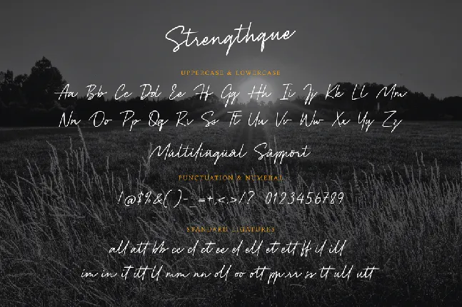 Strengthque font