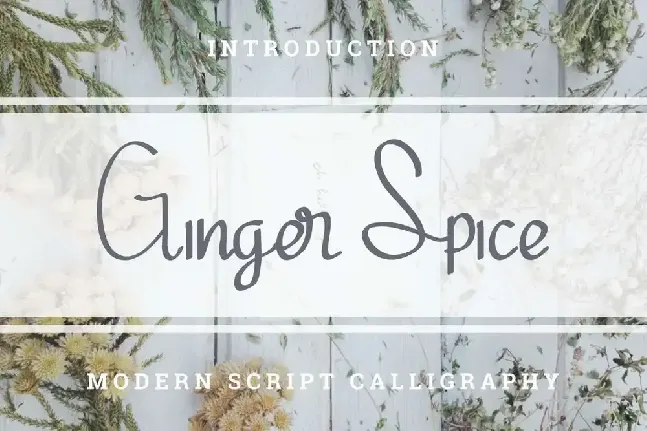 Ginger Spicedemo font