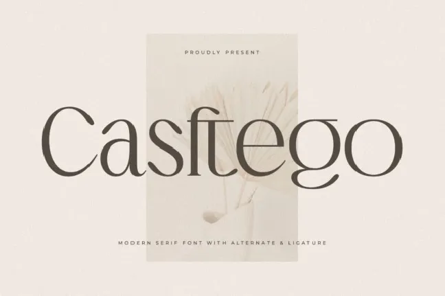 Casftego font