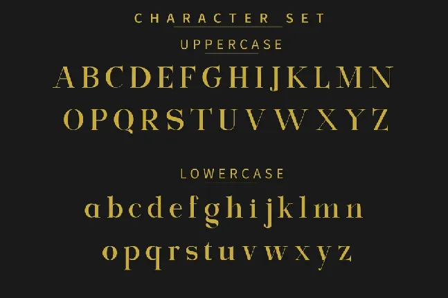 Exclusive Serif font