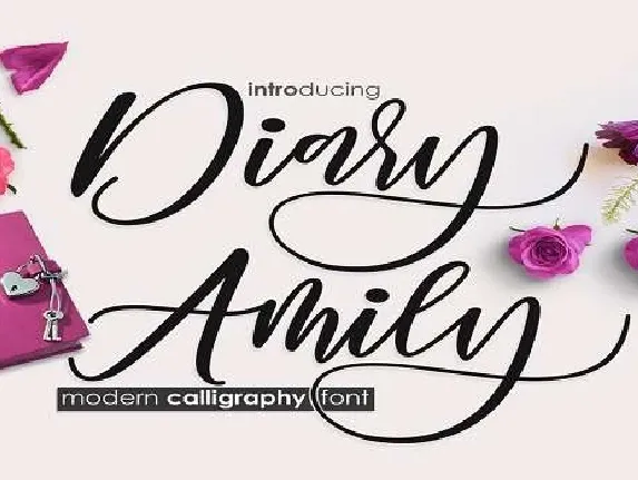 Diary Amily font