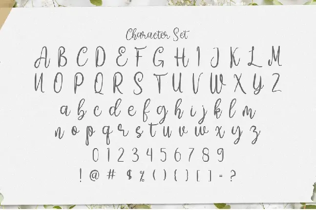 Amelia Sani font