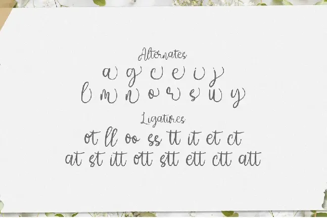 Amelia Sani font