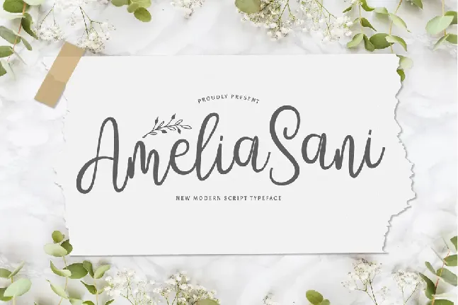 Amelia Sani font