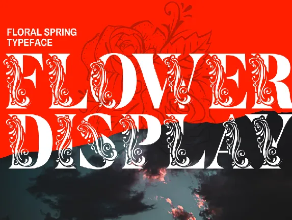 Flower Display Demo font