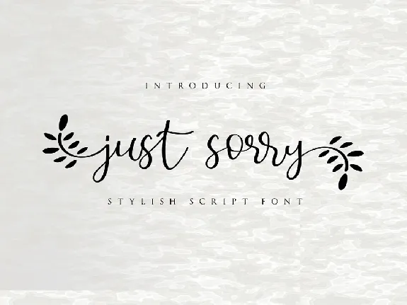 Just Sorry Calligraphy Script font