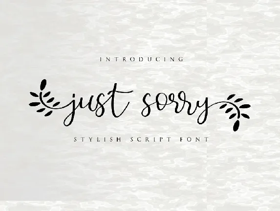 Just Sorry Calligraphy Script font