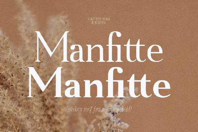 Manfitte font