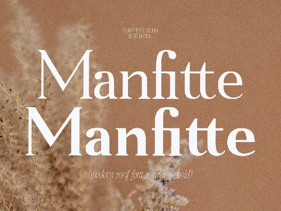 Manfitte font