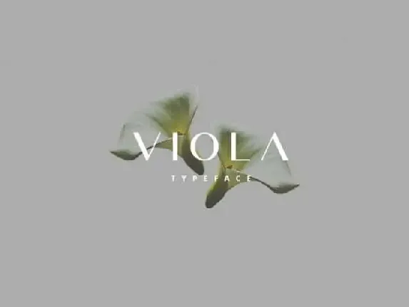 Viola Sans Serif font