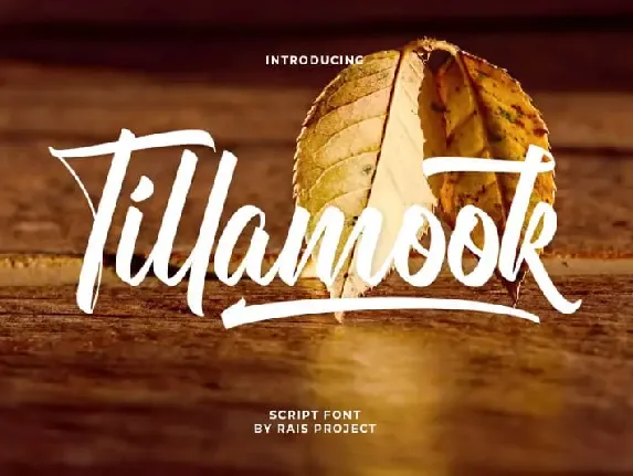 Tillamook Script font