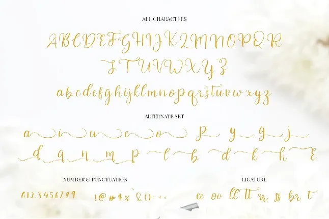 Celinetta Modern Calligraphy font