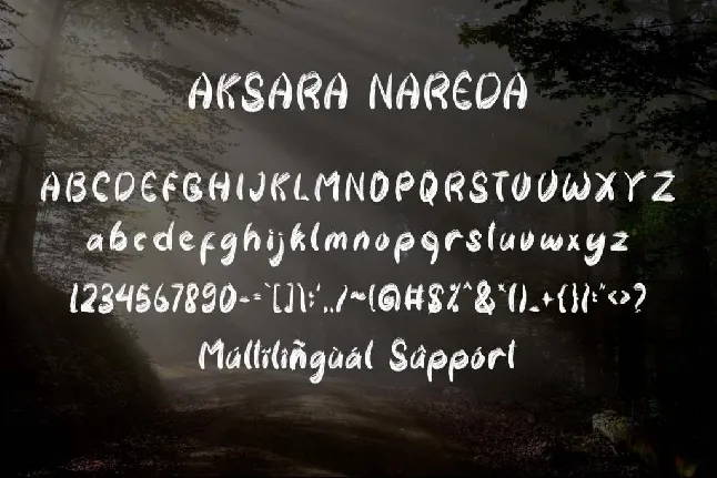 Aksara Nareda font