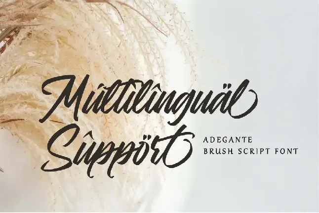 Adegante font