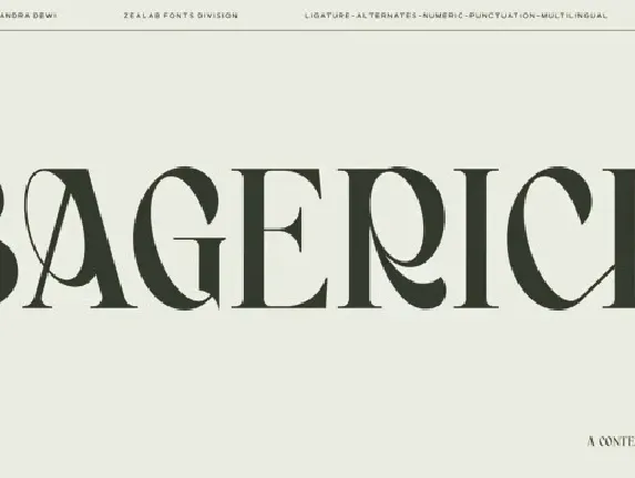 Bagerich font