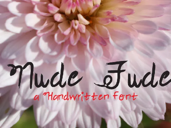 Nude Fude font