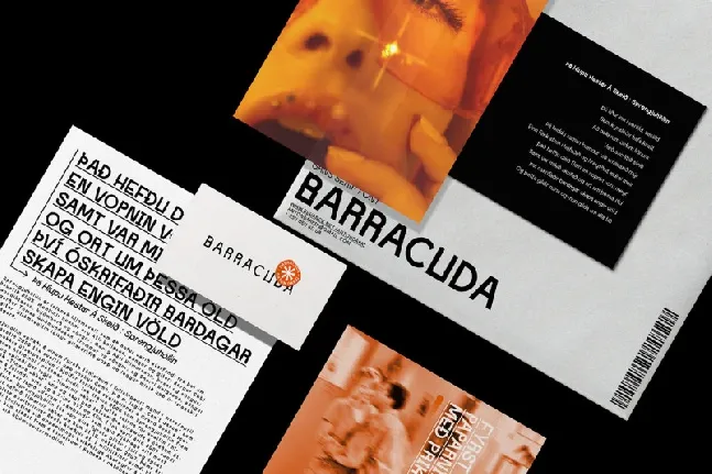 Barracuda font