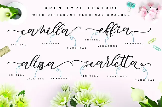 Mocking Script font