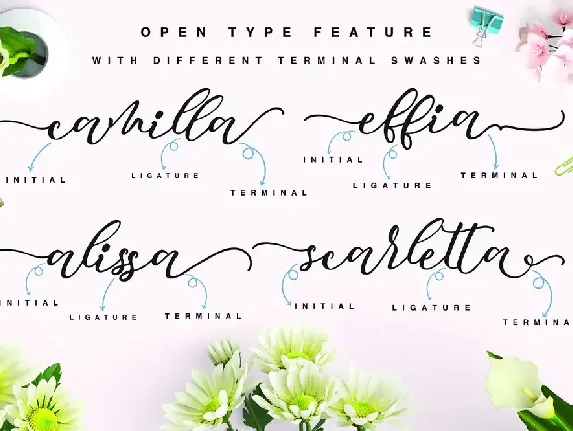 Mocking Script font