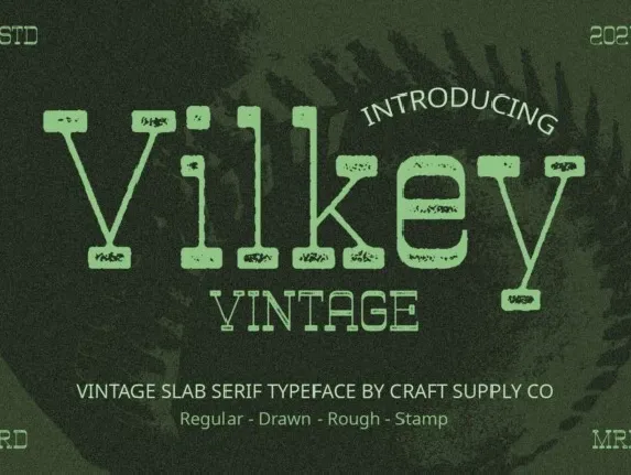 Vilkey Vintage font