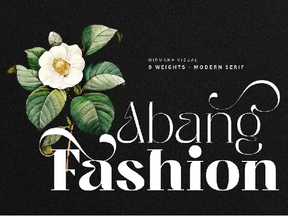 Abang Fashion - Demo Version font