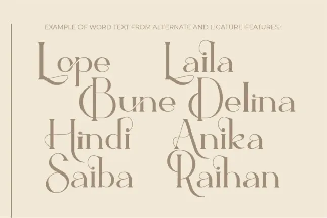 Ballein Serif font