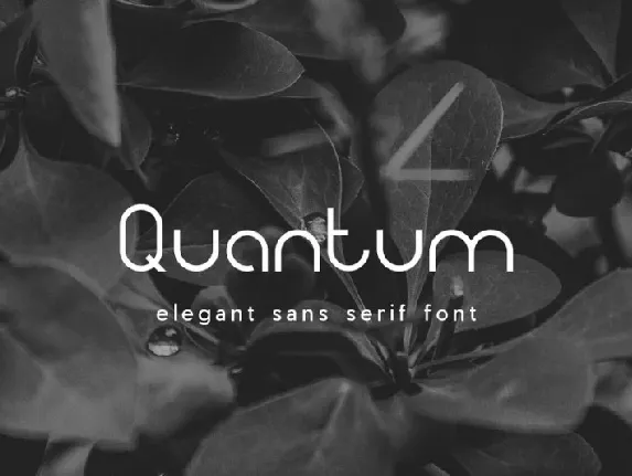 Quantum Sans Serif font