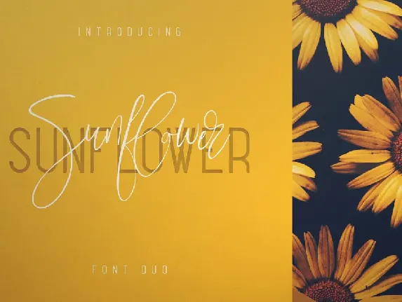 Sunflower Typeface font