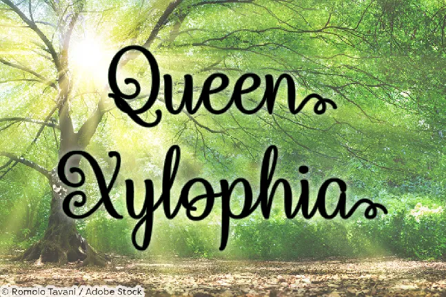 Queen Xylophia font