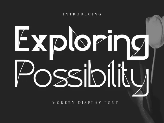 Exploring Possibility Demo font