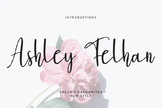 Ashley Felhan font