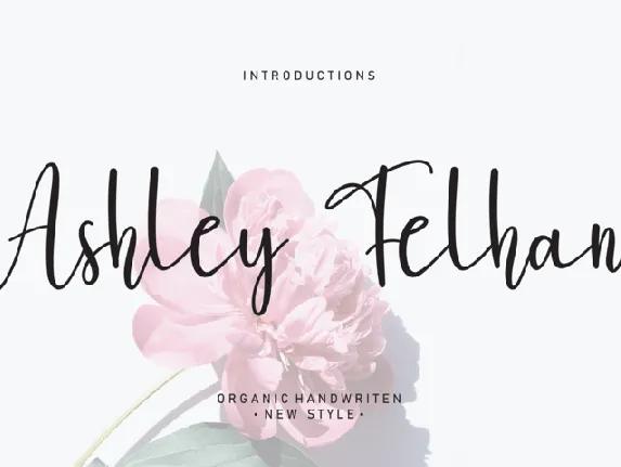 Ashley Felhan font