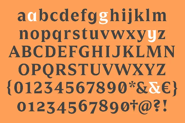 Zin Display font