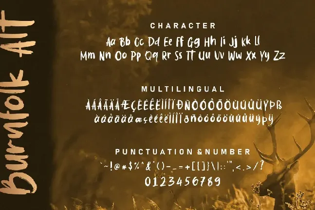 Burnfolk Demo Version font