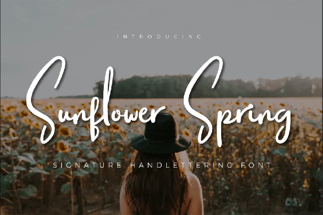 Sunflower Spring font