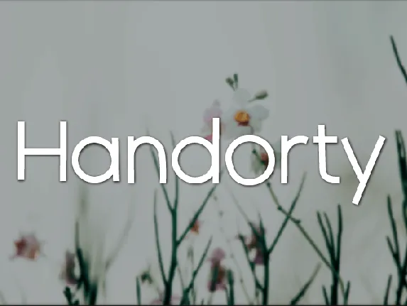 Handorty font