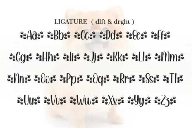 Little Dog Display font