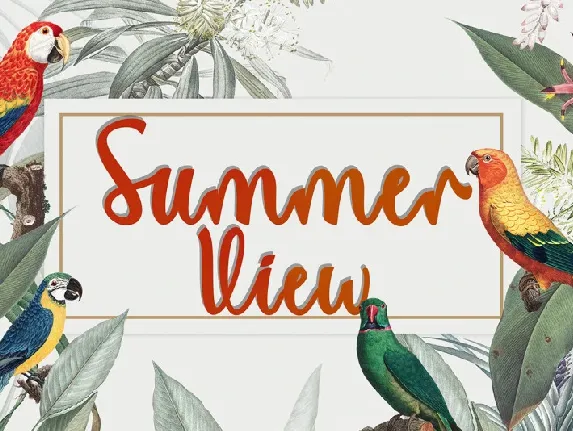 Summer View font