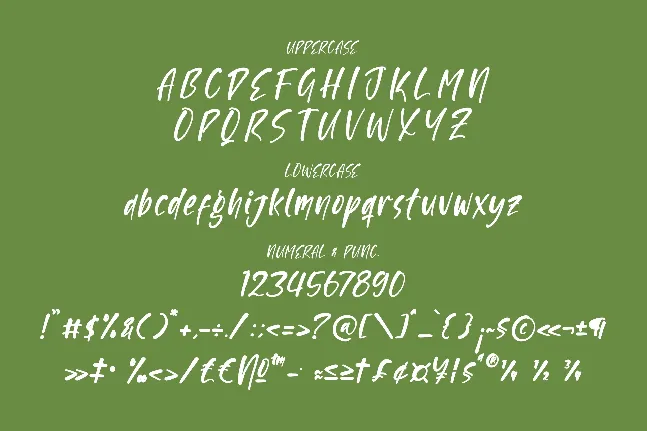 Scartoon font