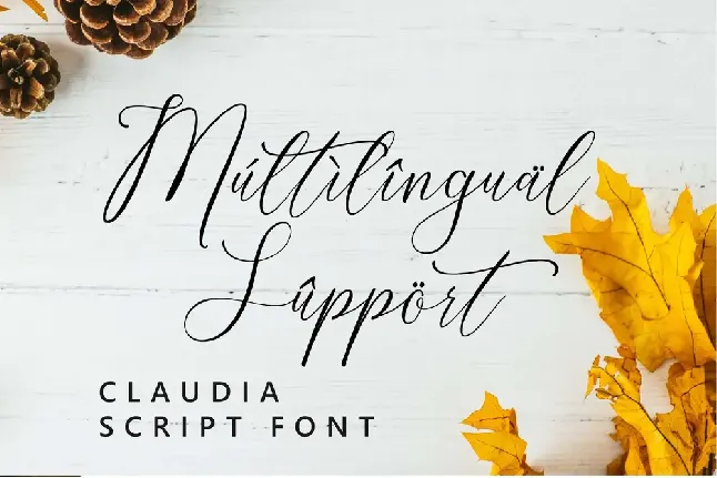 Claudia Script Font