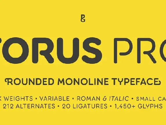 Torus Pro font