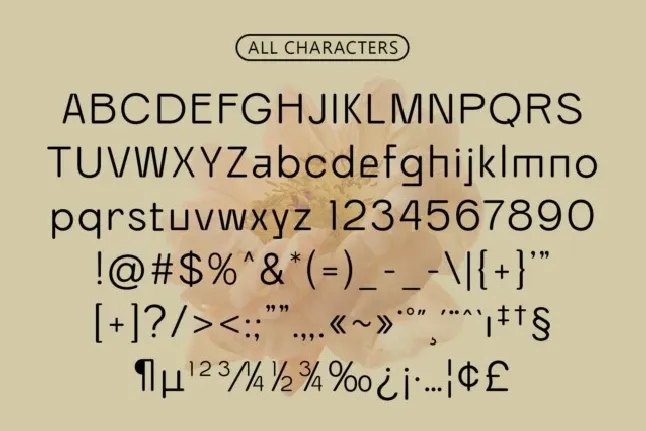 Ranberg Rounded font