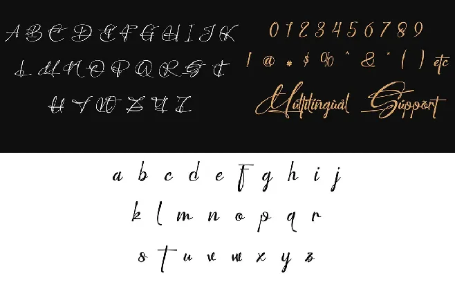 Perfect Signature font