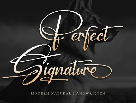 Perfect Signature font