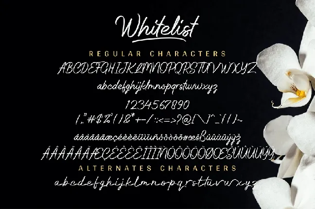 Whitelist font