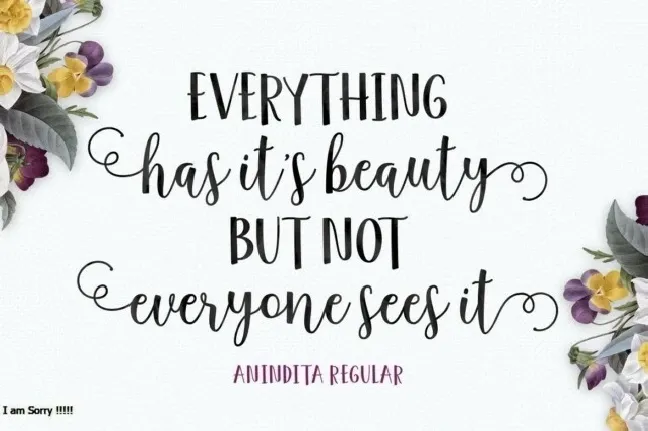 Anindita Script font