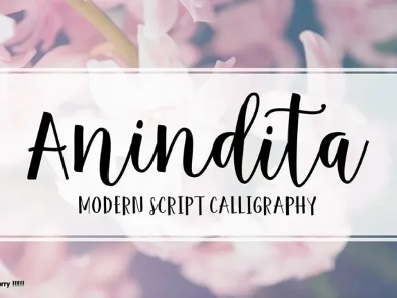 Anindita Script font