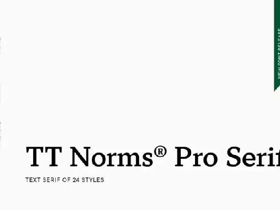 TT NormsÂ® Pro Serif font